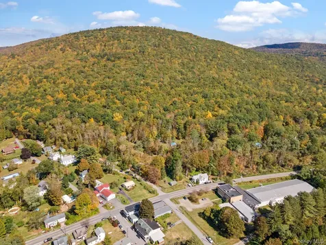 11625 State Route 97 Long Eddy NY 12760