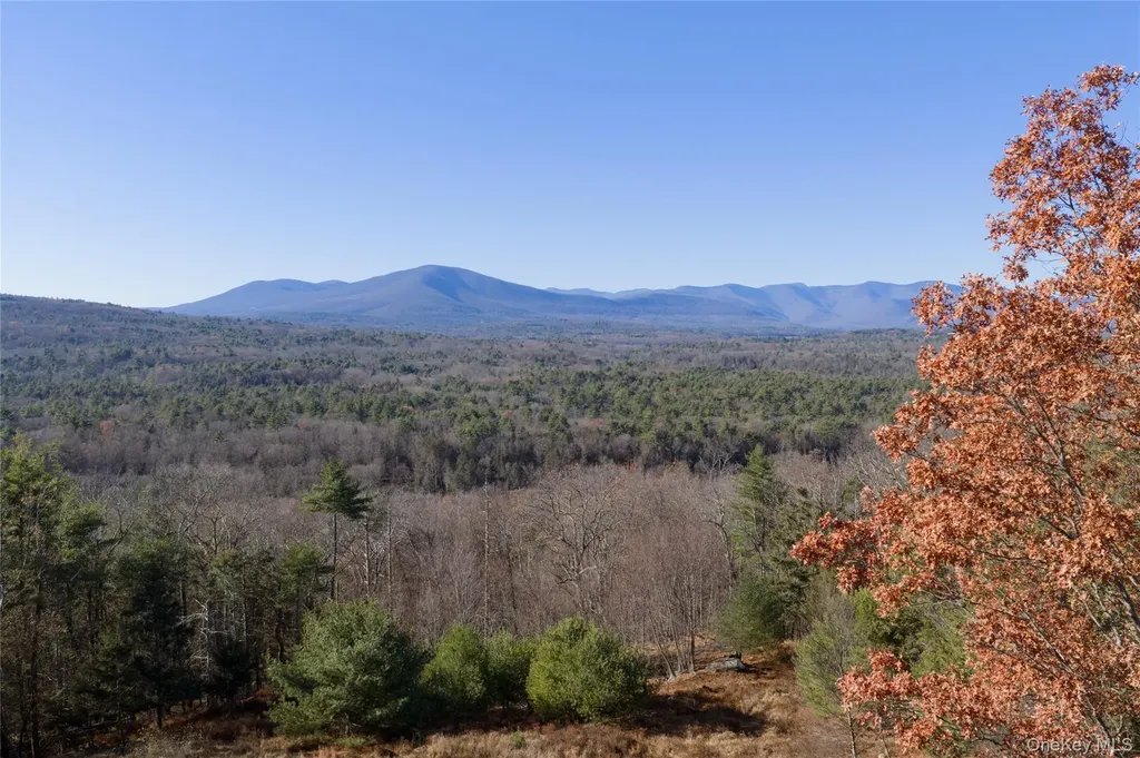 827 Ashokan Road Kingston NY 12401