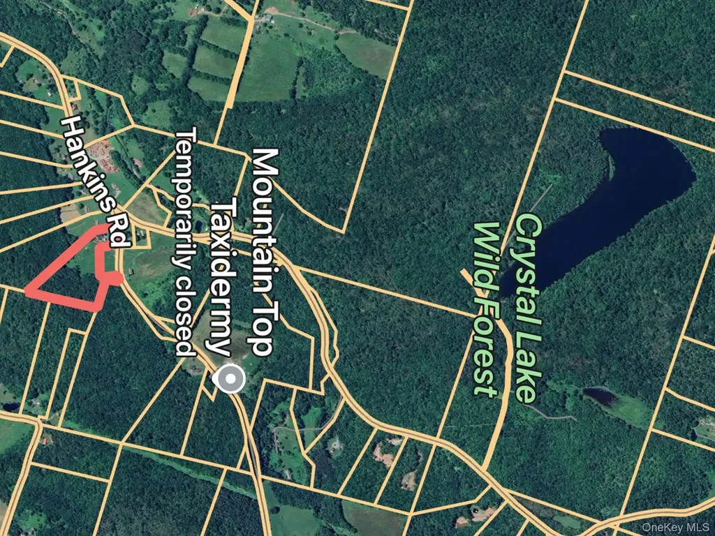 292 County Road 93 Roscoe NY 12776