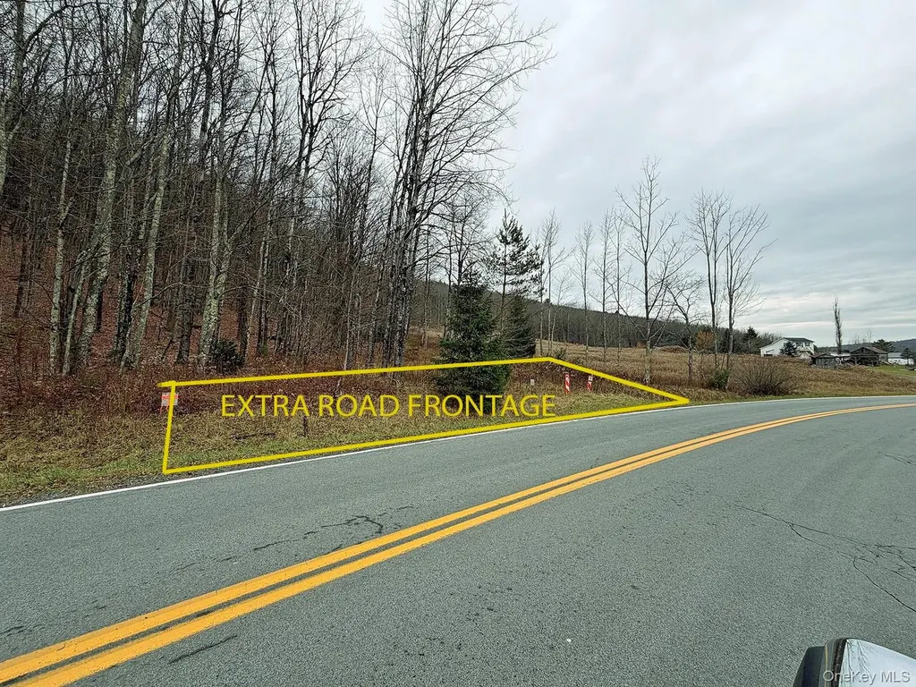 292 County Road 93 Roscoe NY 12776