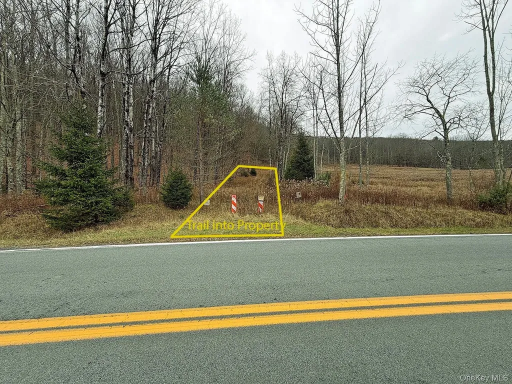 292 County Road 93 Roscoe NY 12776