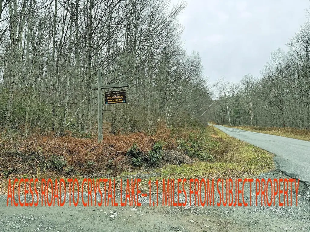 292 County Road 93 Roscoe NY 12776
