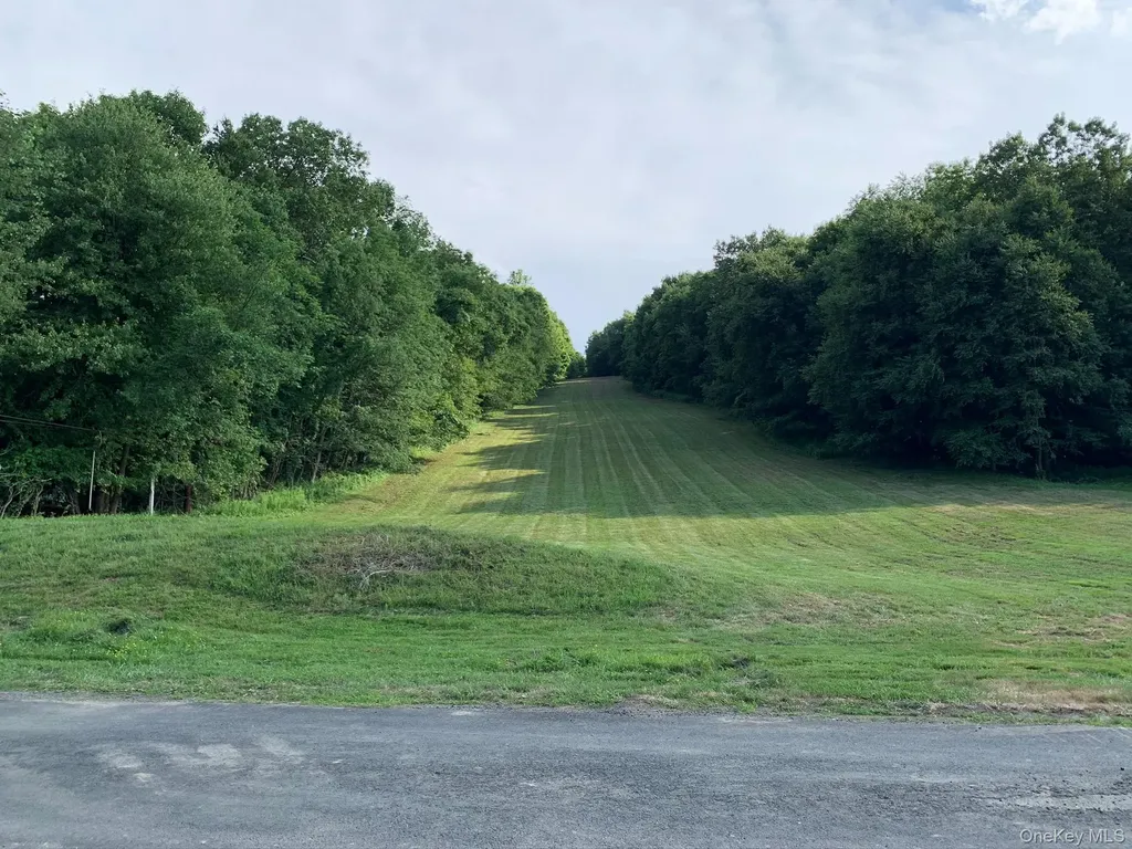 3384 Route 52 Stormville NY 12582