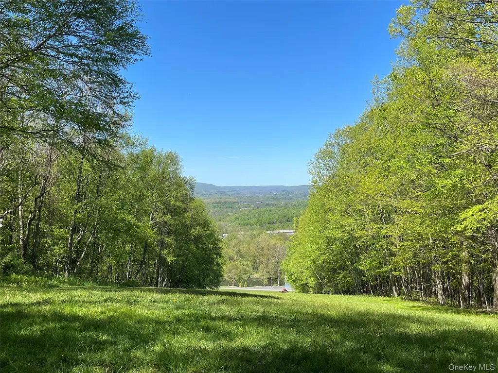3384 Route 52 Stormville NY 12582