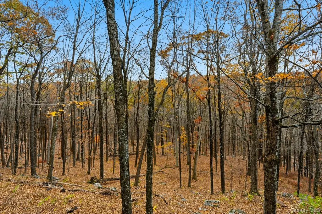 21 Spring House Road Pound Ridge NY 10576