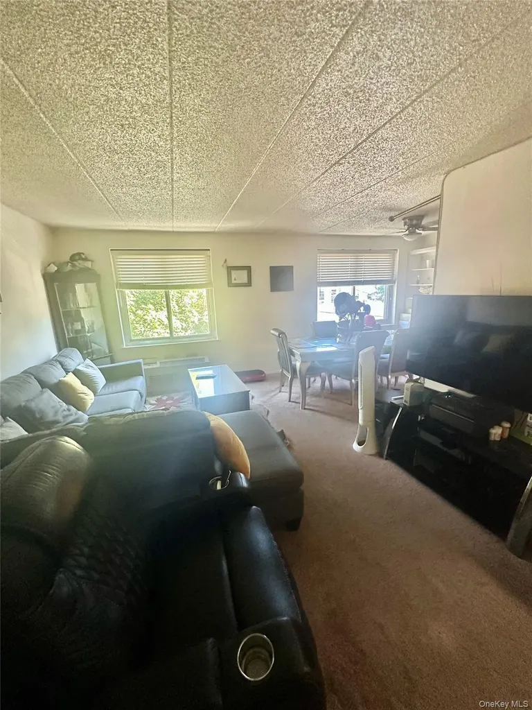 29 Adrian Avenue Bronx NY 10463