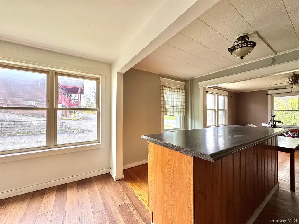 8 Forest Hills Avenue Catskill NY 12414