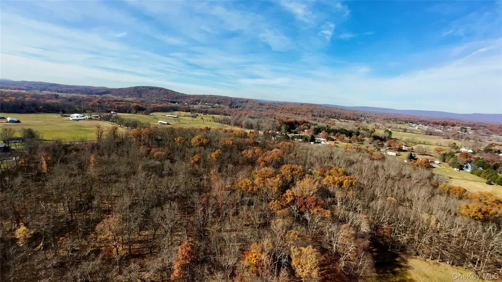 109 White Birch Lane Montgomery NY 12549