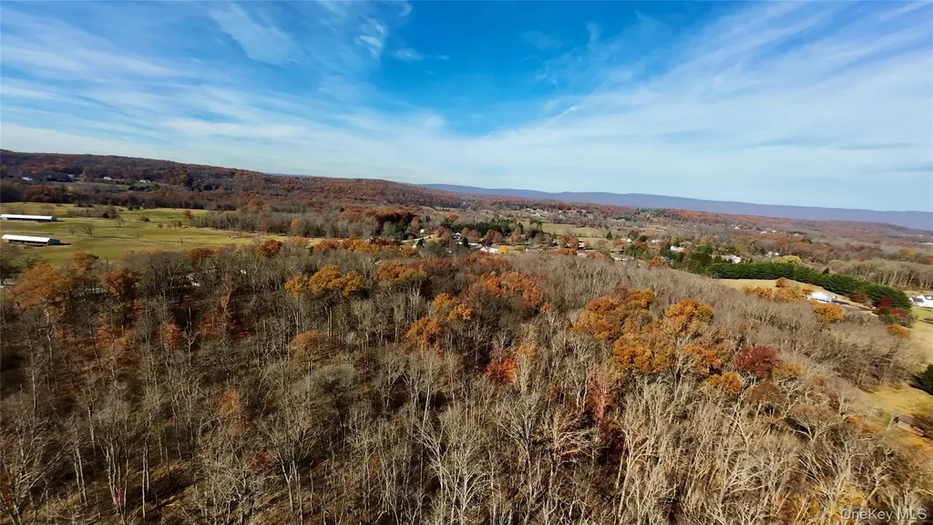 109 White Birch Lane Montgomery NY 12549