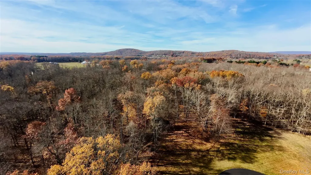 109 White Birch Lane Montgomery NY 12549
