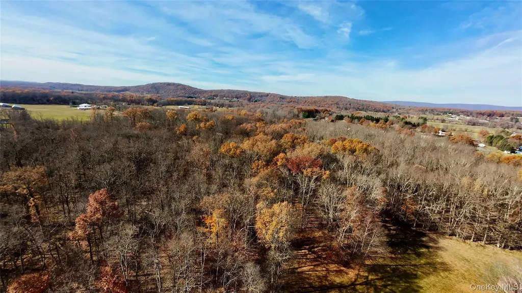 109 White Birch Lane Montgomery NY 12549