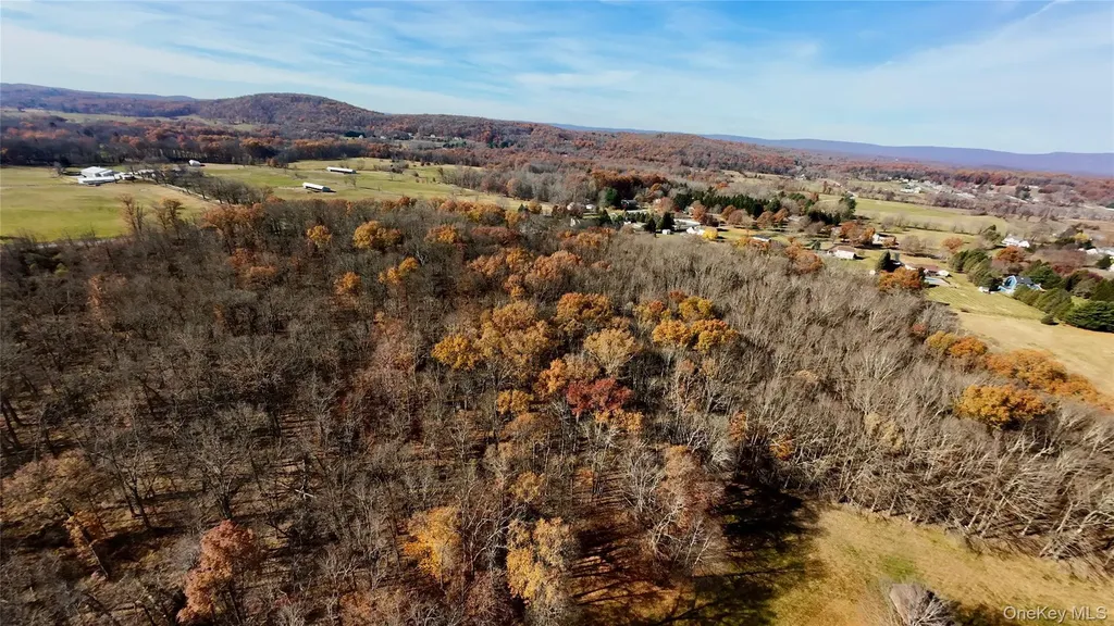 109 White Birch Lane Montgomery NY 12549