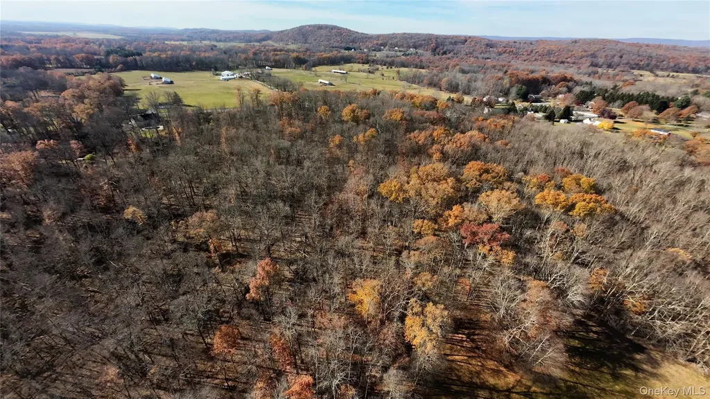 109 White Birch Lane Montgomery NY 12549