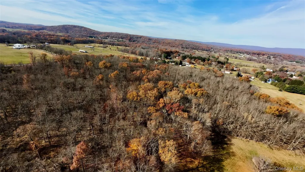 109 White Birch Lane Montgomery NY 12549