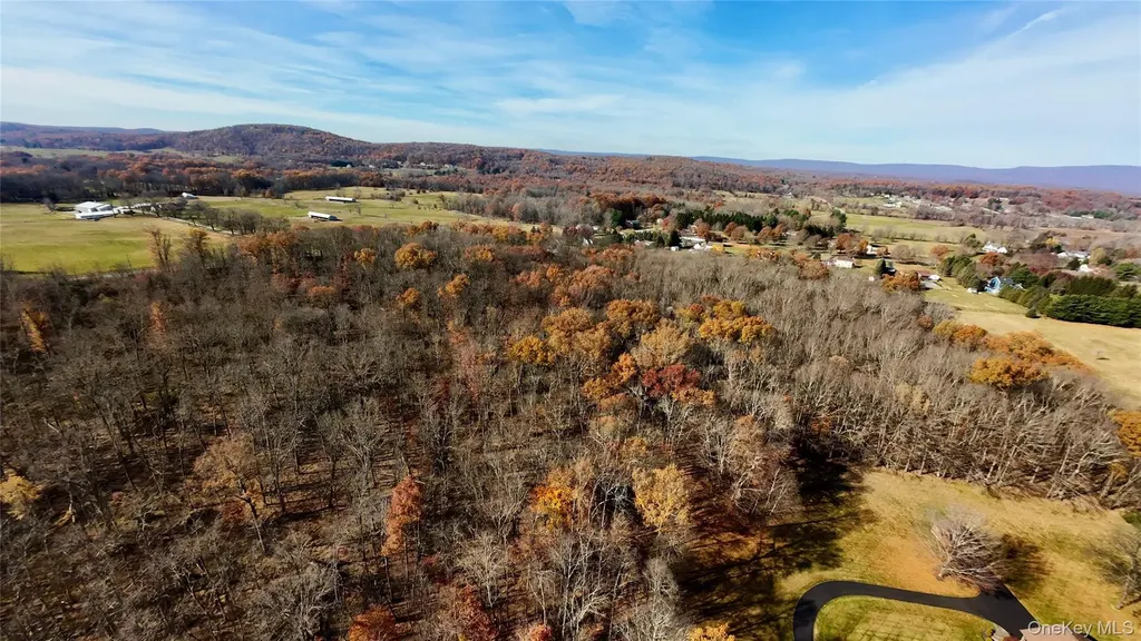 109 White Birch Lane Montgomery NY 12549