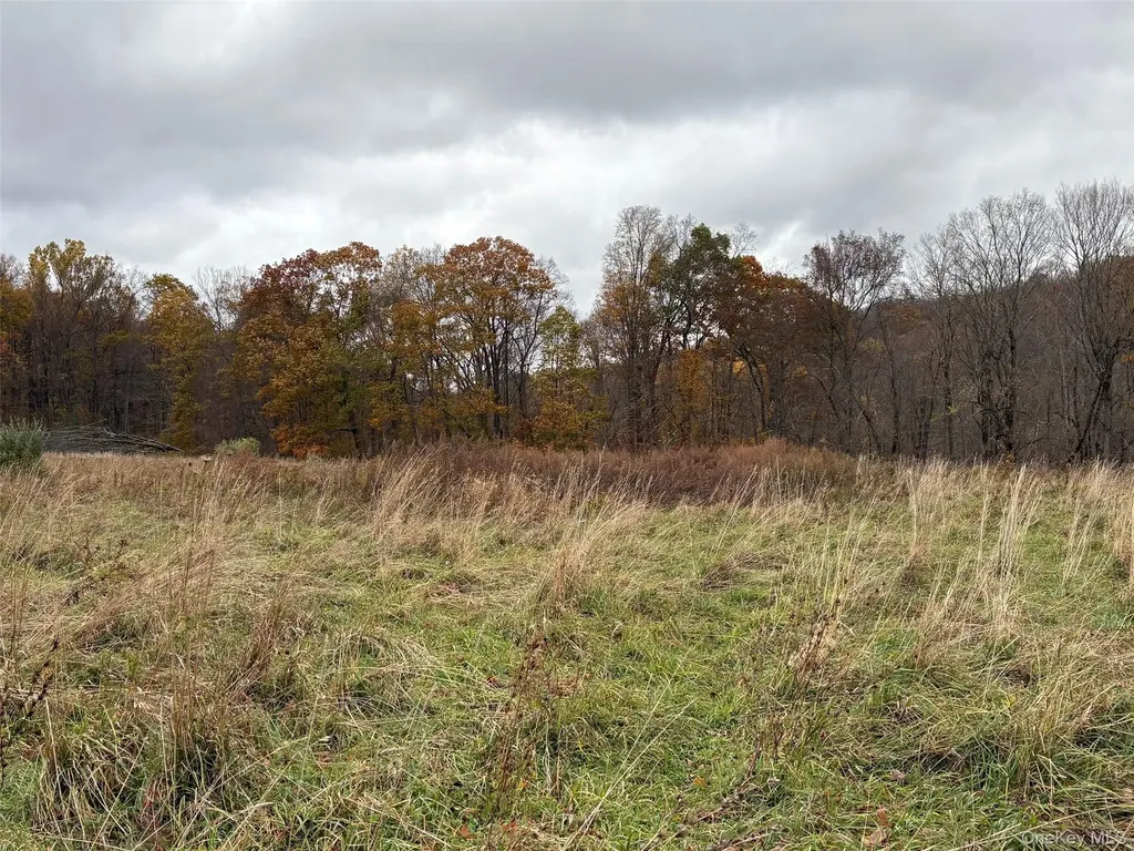 Pleasant Ridge Road Poughquag NY 12570