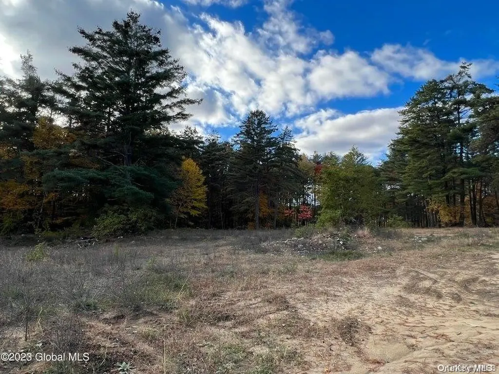 15 Pasco Avenue Call Listing Agent NY 12804