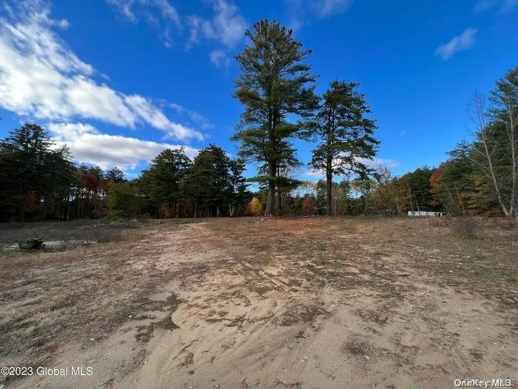 15 Pasco Avenue Call Listing Agent NY 12804