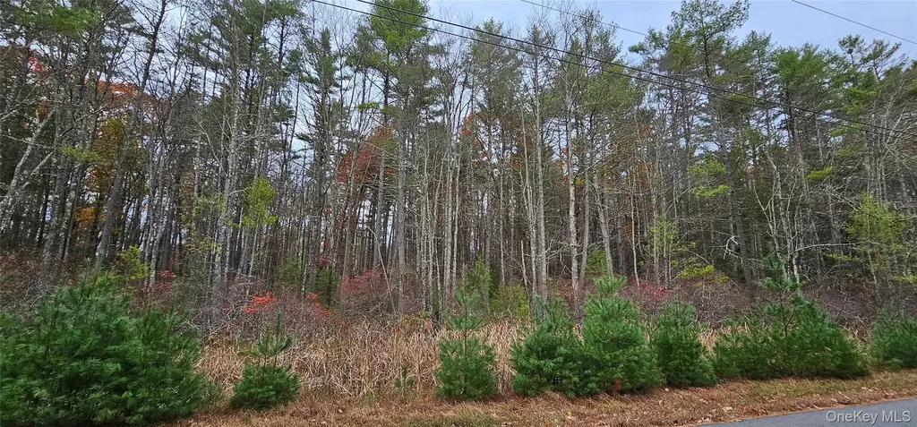 Lot 28 Summit Drive Yulan NY 12792