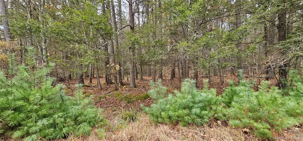 Lot 28 Summit Drive Yulan NY 12792