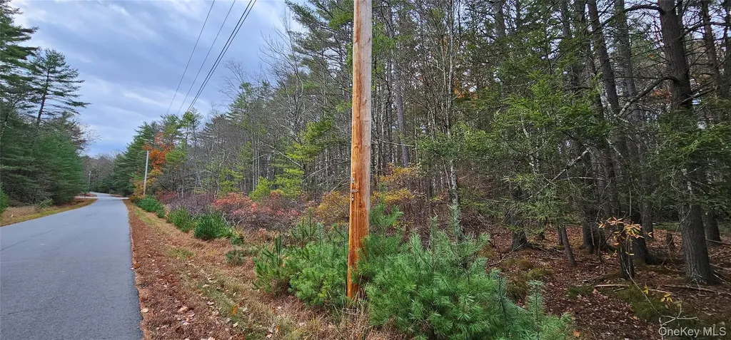 Lot 28 Summit Drive Yulan NY 12792