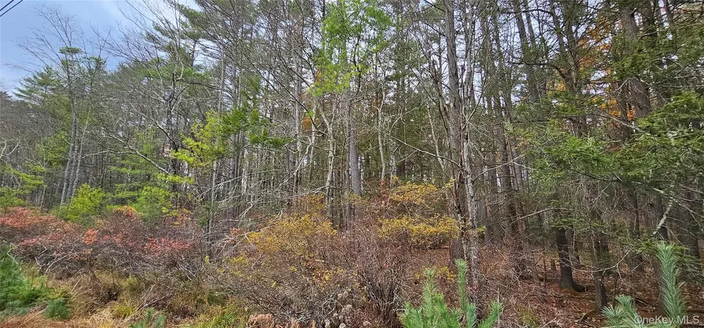 Lot 28 Summit Drive Yulan NY 12792