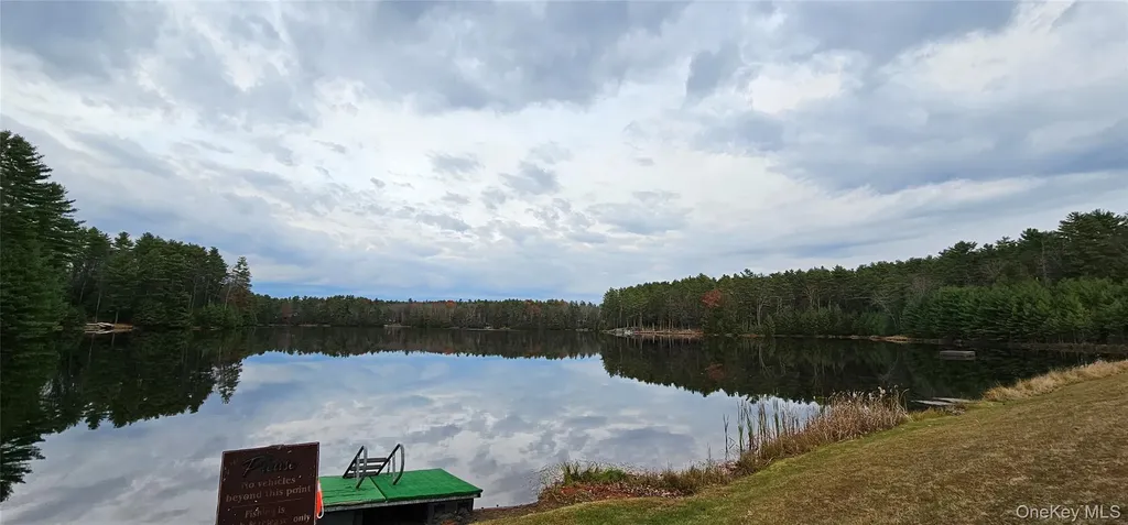 Lot 28 Summit Drive Yulan NY 12792