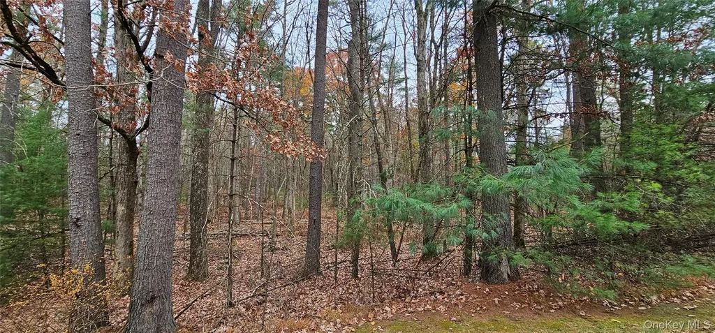 Lot 28 Summit Drive Yulan NY 12792