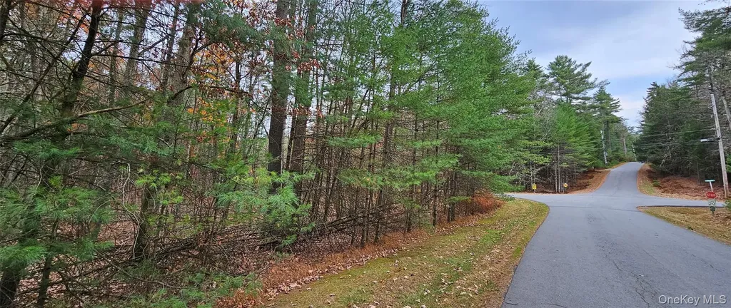 Lot 28 Summit Drive Yulan NY 12792