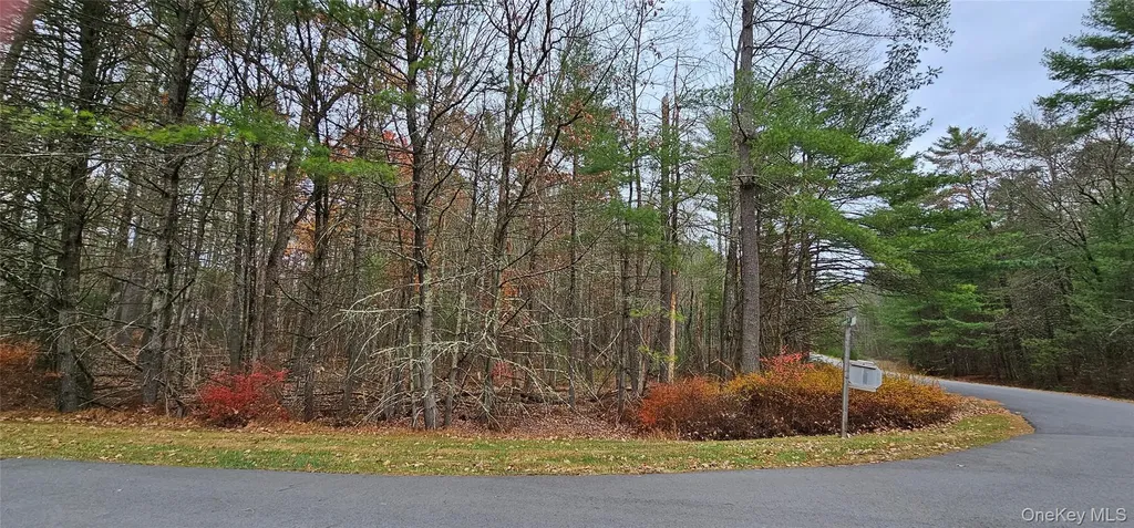 Lot 28 Summit Drive Yulan NY 12792