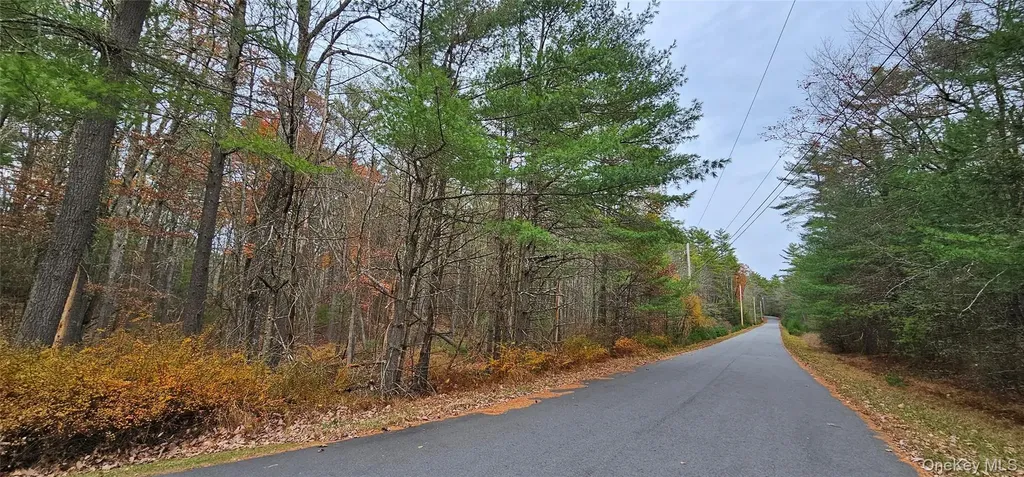 Lot 28 Summit Drive Yulan NY 12792