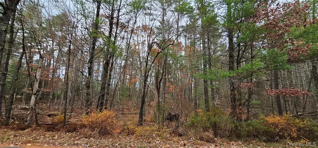 Lot 28 Summit Drive Yulan NY 12792