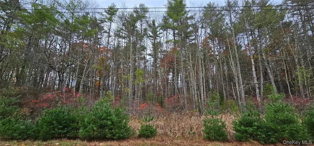 Lot 28 Summit Drive Yulan NY 12792