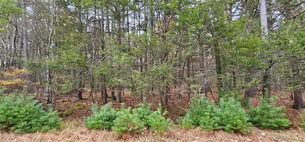 Lot 28 Summit Drive Yulan NY 12792
