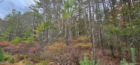 Lot 28 Summit Drive Yulan NY 12792