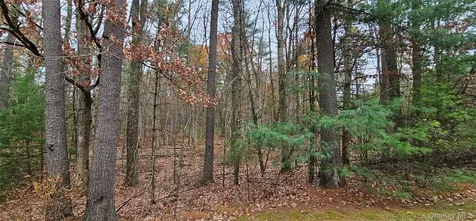 Lot 28 Summit Drive Yulan NY 12792