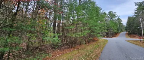 Lot 28 Summit Drive Yulan NY 12792