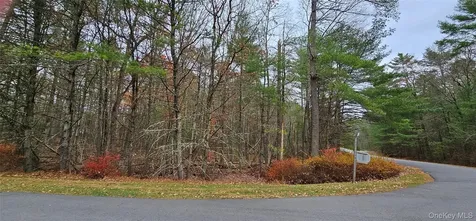 Lot 28 Summit Drive Yulan NY 12792