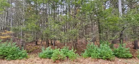 Lot 28 Summit Drive Yulan NY 12792