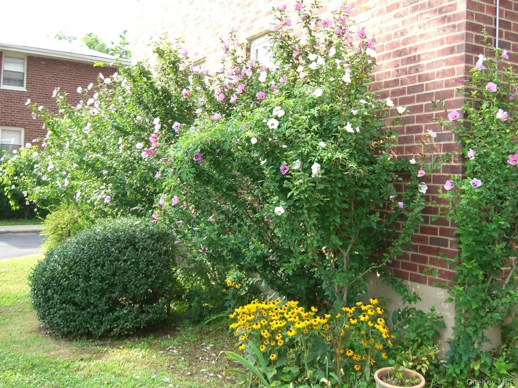 48 Dehaven Yonkers NY 10703