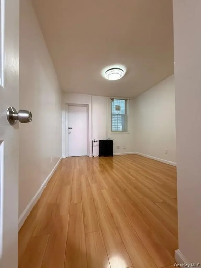49 Buffalo Avenue Brooklyn NY 11233