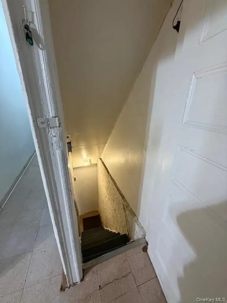 49 Buffalo Avenue Brooklyn NY 11233