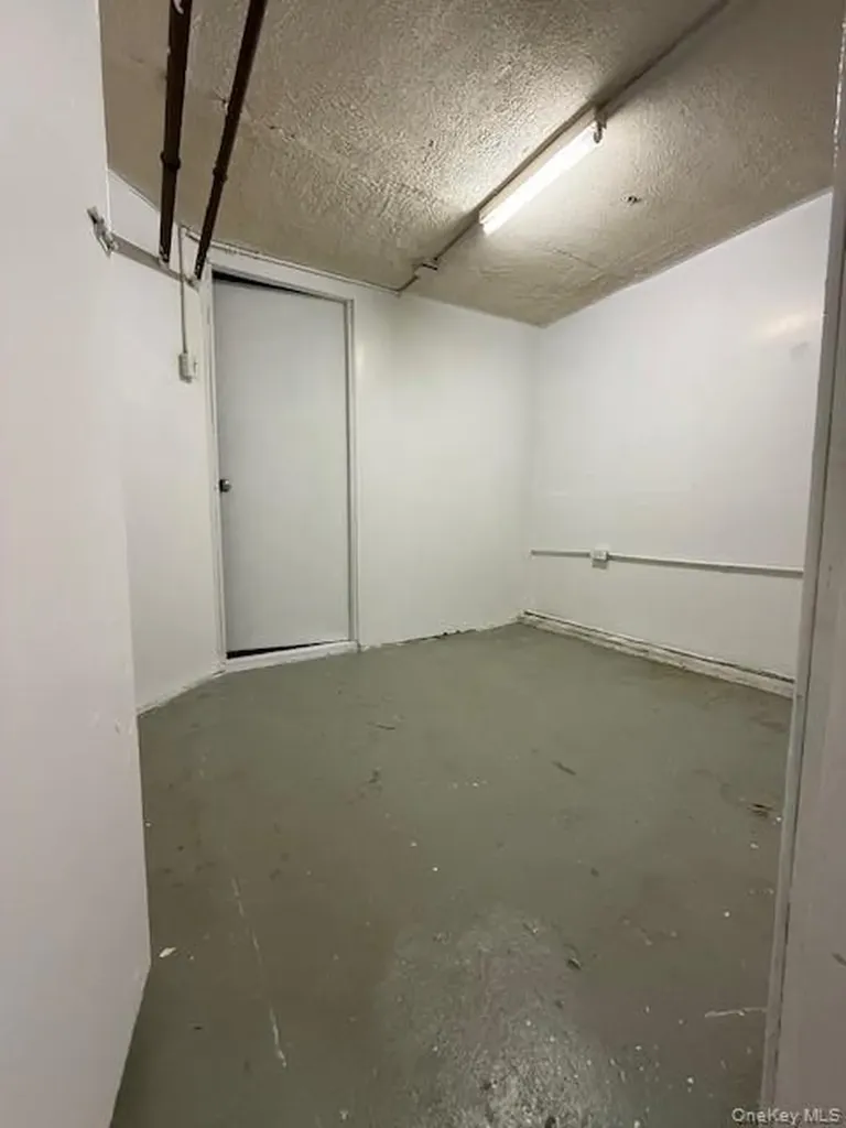 49 Buffalo Avenue Brooklyn NY 11233