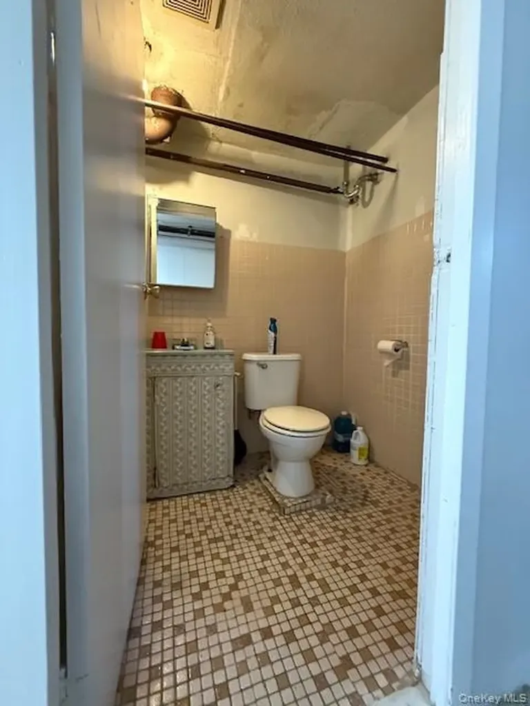 49 Buffalo Avenue Brooklyn NY 11233