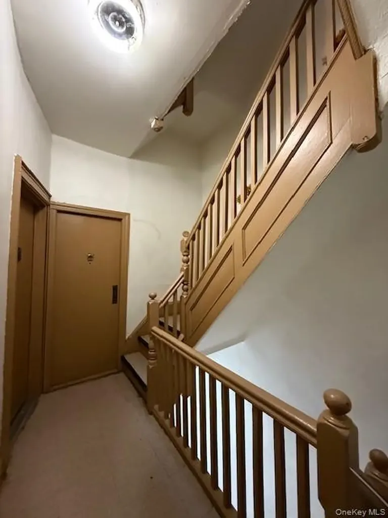 49 Buffalo Avenue Brooklyn NY 11233