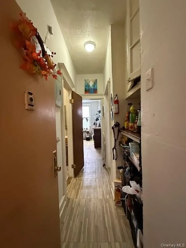 49 Buffalo Avenue Brooklyn NY 11233