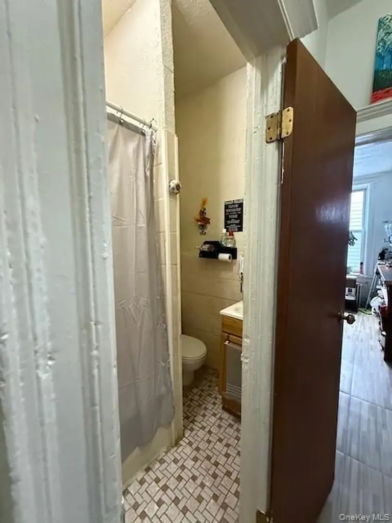 49 Buffalo Avenue Brooklyn NY 11233