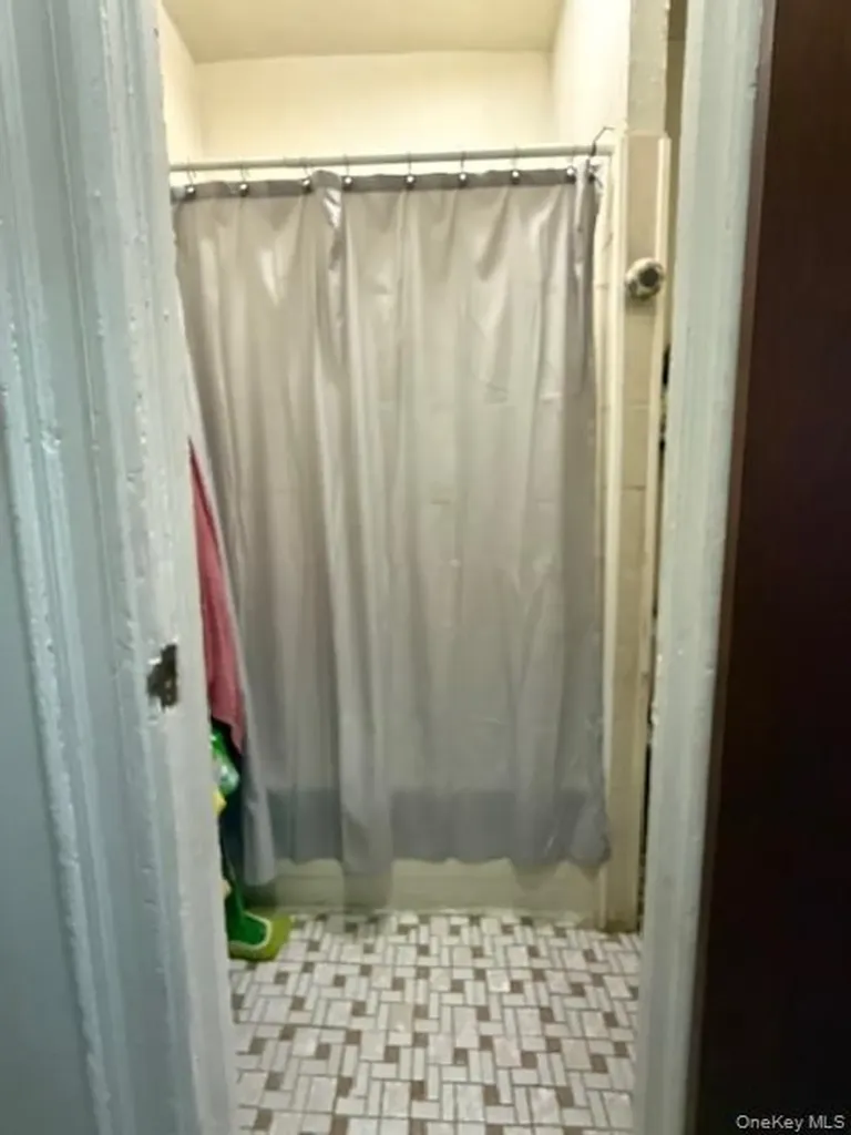 49 Buffalo Avenue Brooklyn NY 11233