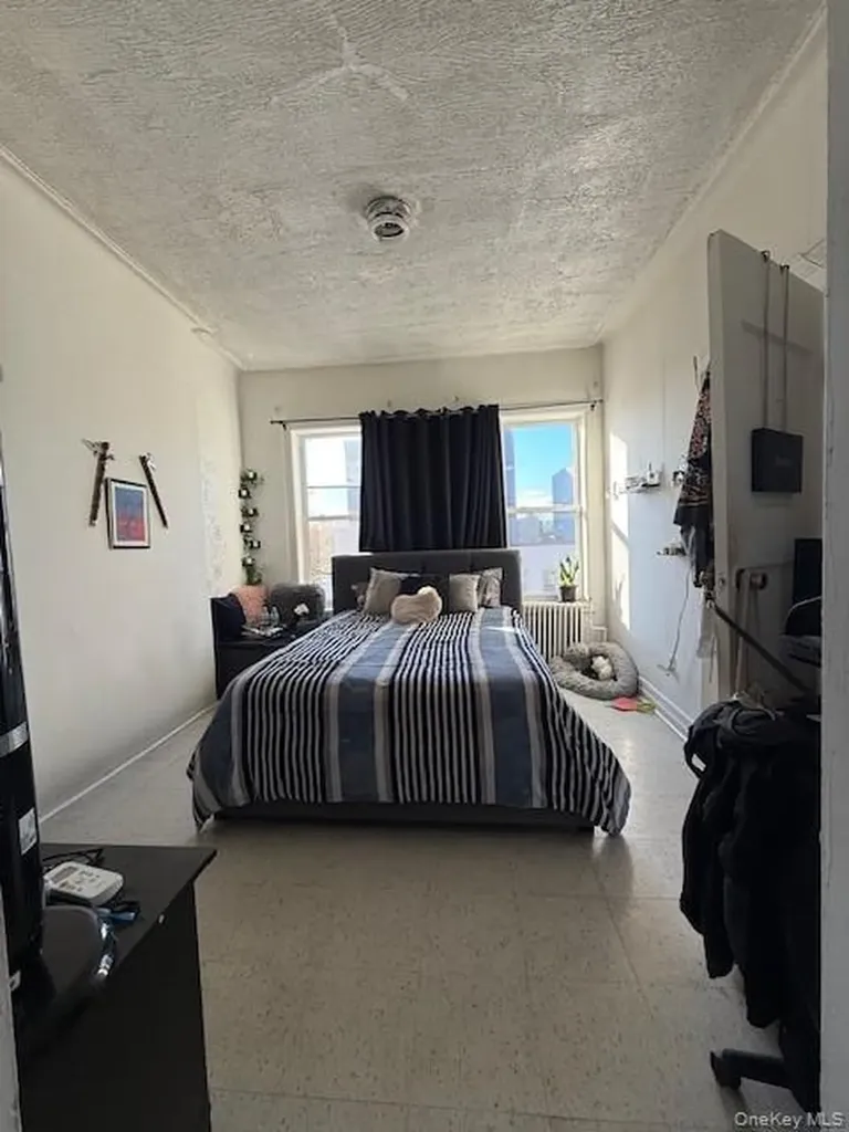 49 Buffalo Avenue Brooklyn NY 11233