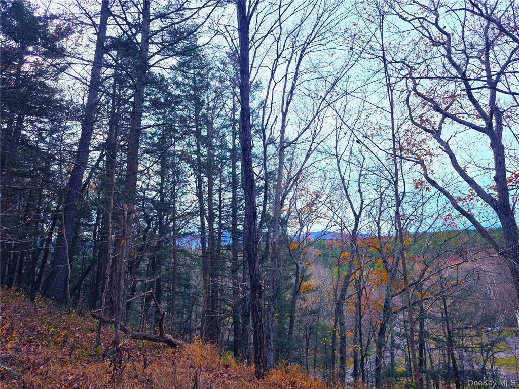 0 County Route 41 Cairo NY 12413